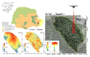 high-density UAV-Lidar for deriving tree height of Araucaria Angustifolia in an Urban Atlantic Rain Forest