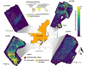 UAV LiDAR Data from Brazilian Savanna