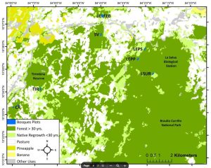 drone-borne lidar for detecting successional changes
