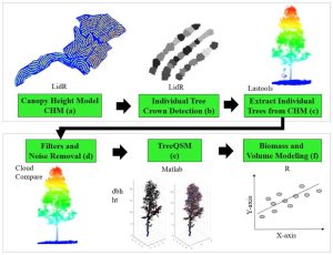 Applying High-Resolution UAV LiDAR and QSM for Estimating Tree Attributes