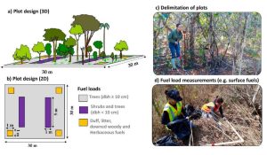 Spaceborne lidar for quantifying fuel load