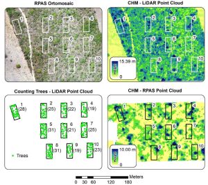 RGB & LiDAR sensors in Brazillian Cerrado